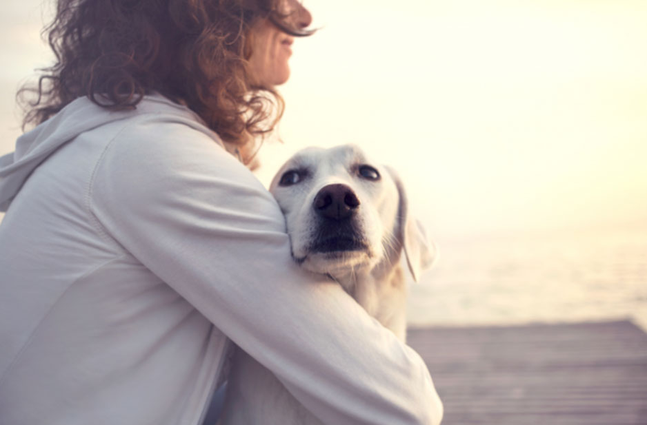 You paw thing: Stress and anxiety in dogs